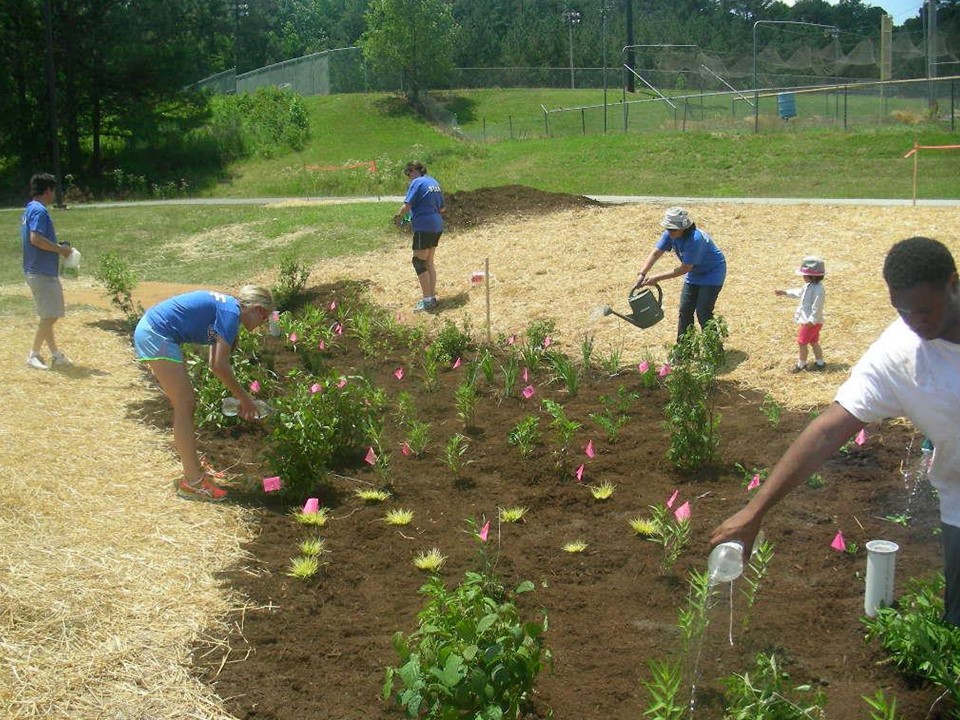 A rain garden being maintained by teachers and students.