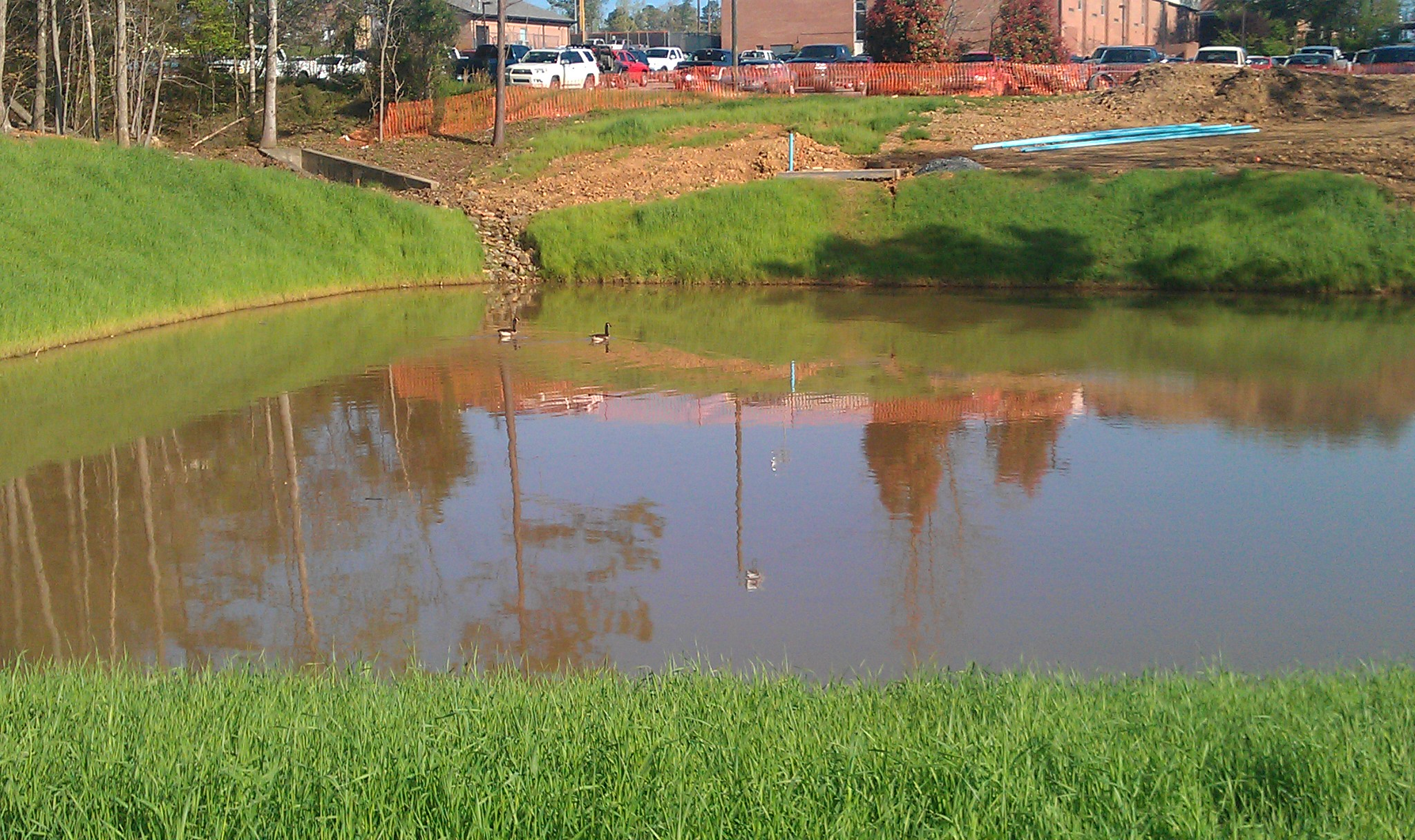 A pond to capture and store water for irrigation.