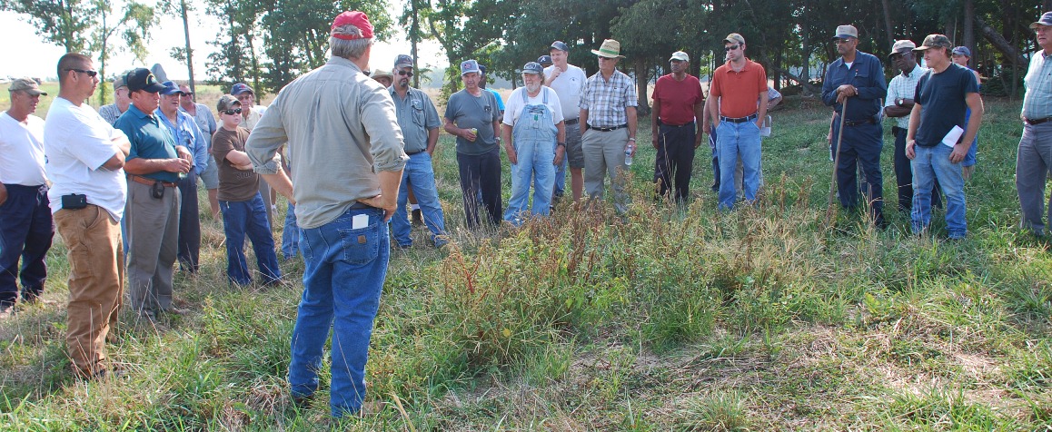 A group of local farmers and cattleman evaluate the results of weeds recently treated with the wick applicator.